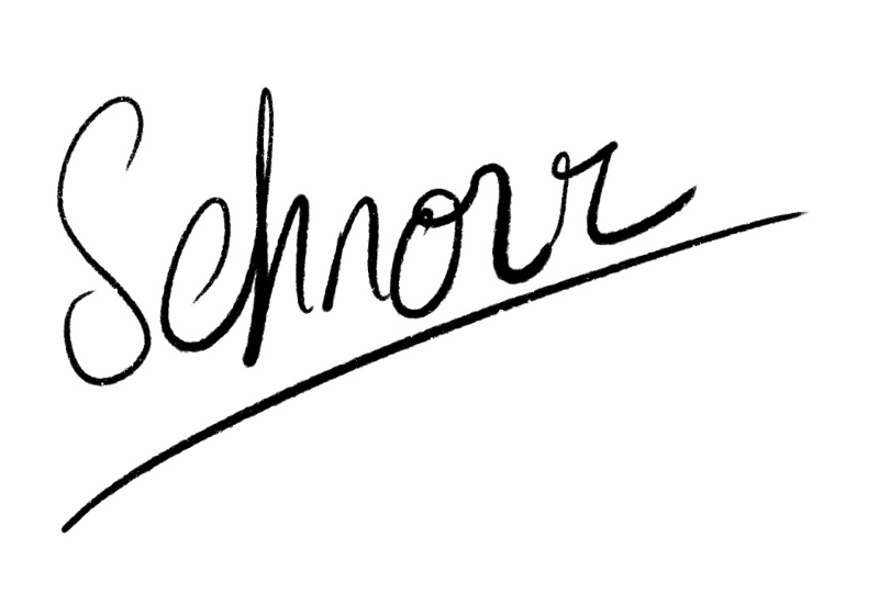 Image result for Schnorr